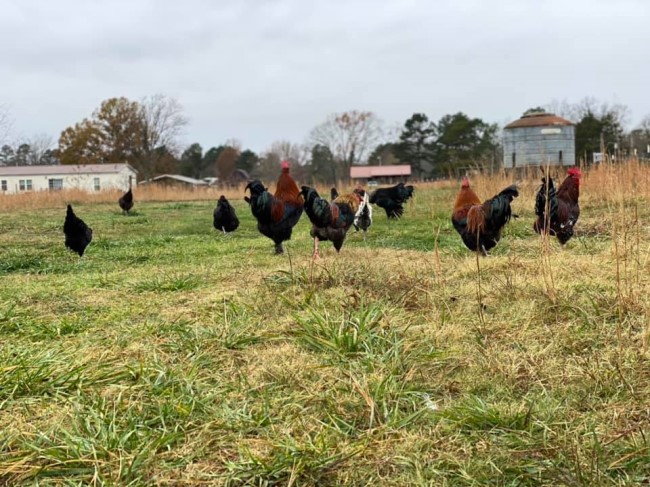 Forevermost Farms