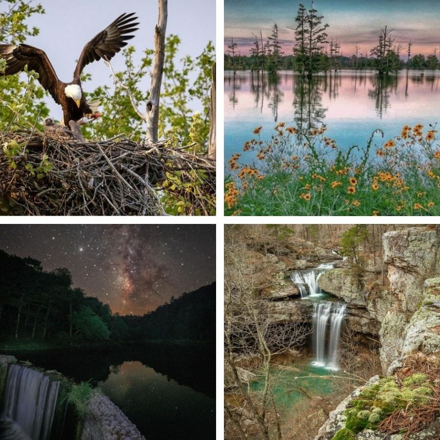 Instagrammer @debbiemariephotography_18
