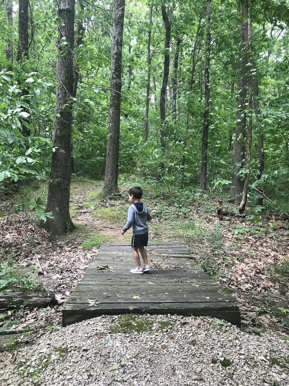 Arkansas adventure