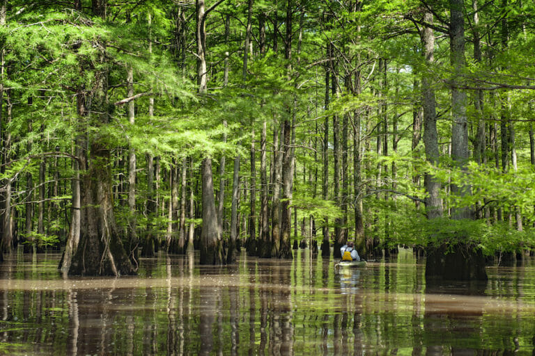 Arkansas Delta Road Trip Marked Tree To Wilson Only In Arkansas