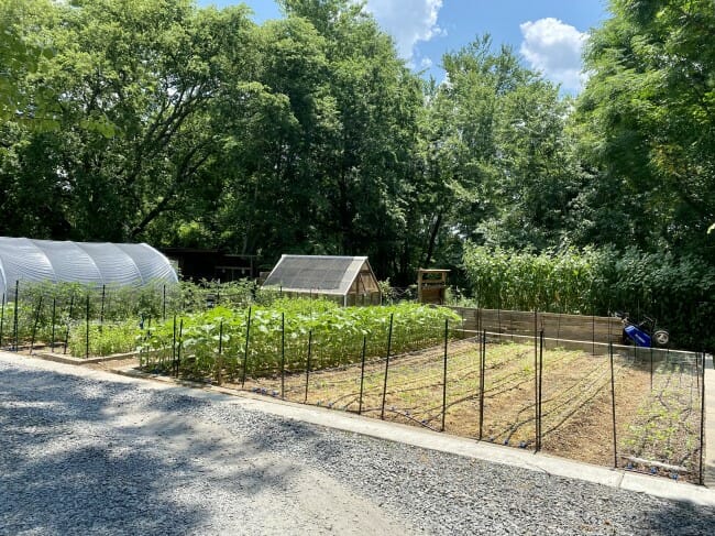 Bell Urban Farm