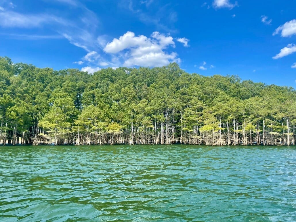 Photo Of The Week Norfork Lake Only In Arkansas   POTW Lake Norfork Talya Boerner 