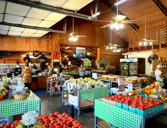 Vanzant Fruit Farm