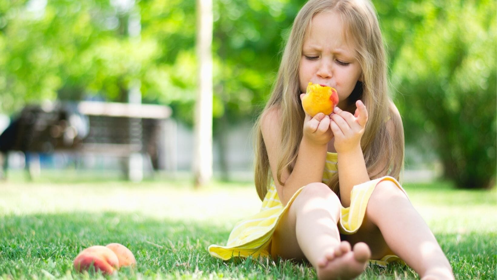 July 2022 Arkansas Events and Festivals Only In Arkansas