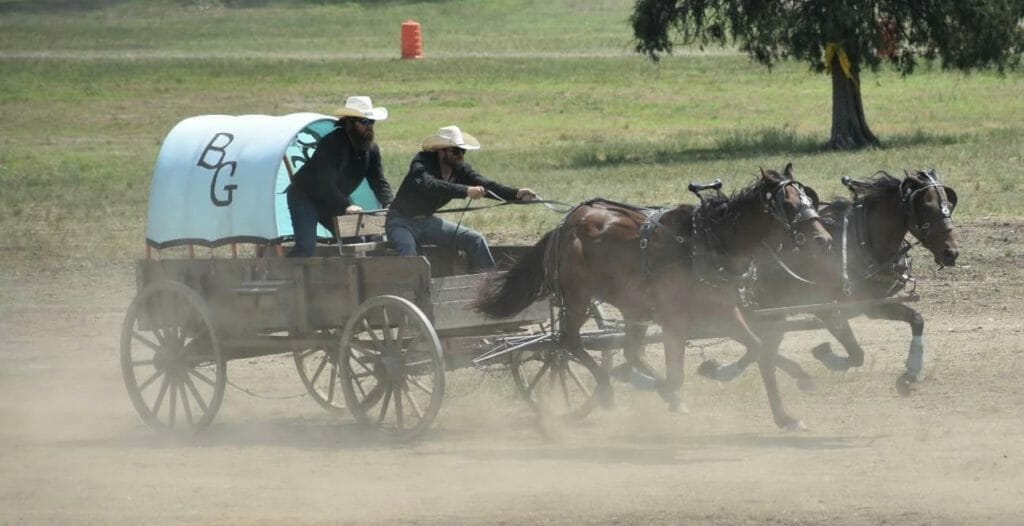 Chuckwagon races in Arkansas