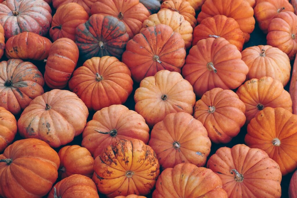 October 2026 Arkansas Events & Festivals