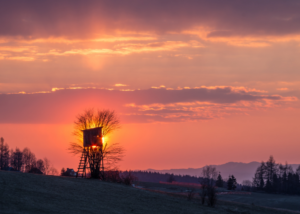 Deer Camp | Tradition Beyond the Hunt