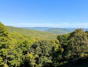 Artist Point: A Front-Row Seat to Arkansas Fall Color